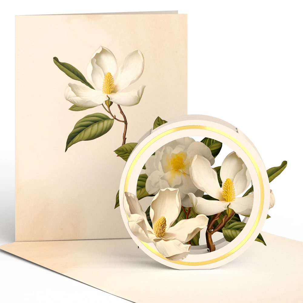 Beautiful Botanicals Box Set (Assorted 12-Pack): Paperpop® Card - Image 18