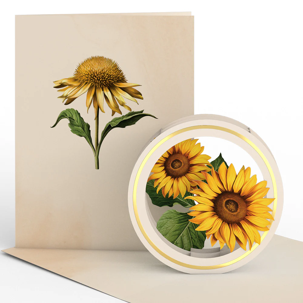 Beautiful Botanicals Box Set (Assorted 12-Pack): Paperpop® Card - Image 6